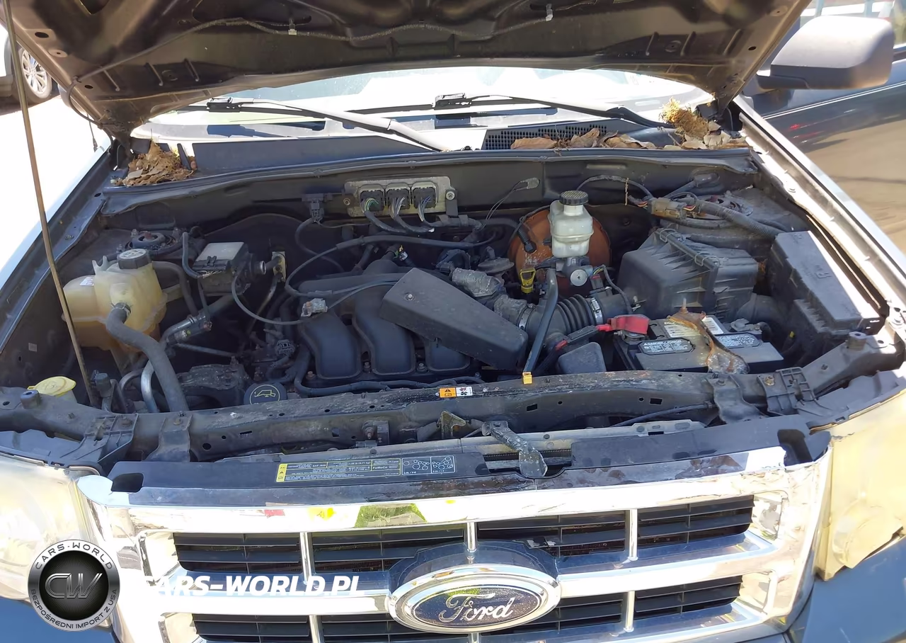 2008 Ford Escape Xlt VIN:1FMCU93148KB78239 - 10