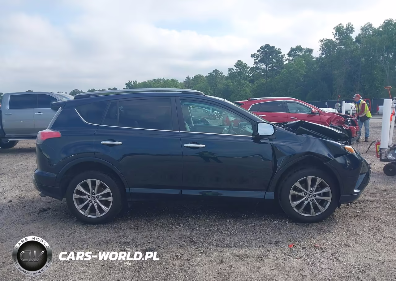 2017 Toyota Rav4 Platinum VIN:2T3DFREV4HW694031 - 13