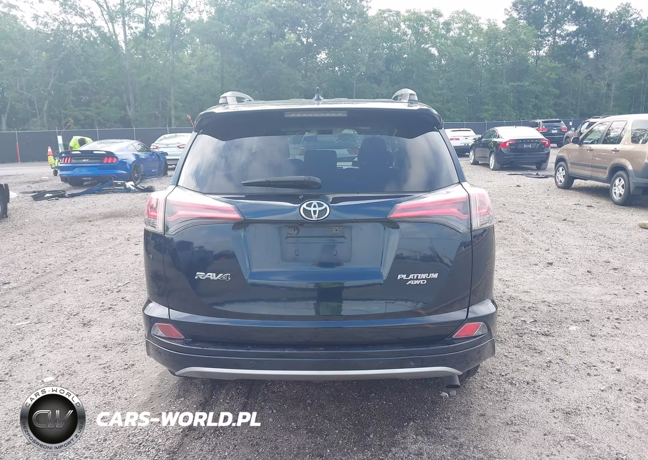 2017 Toyota Rav4 Platinum VIN:2T3DFREV4HW694031 - 16