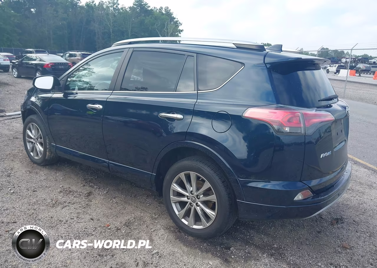 2017 Toyota Rav4 Platinum VIN:2T3DFREV4HW694031 - 3