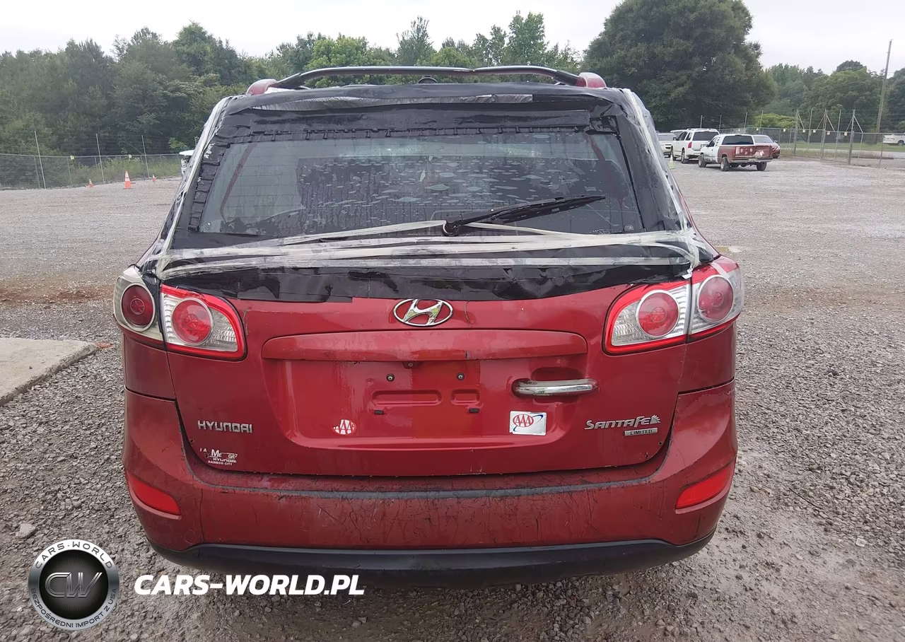 2010 Hyundai Santa Fe Limited V6 VIN:5NMSK4AG7AH392157 - 6