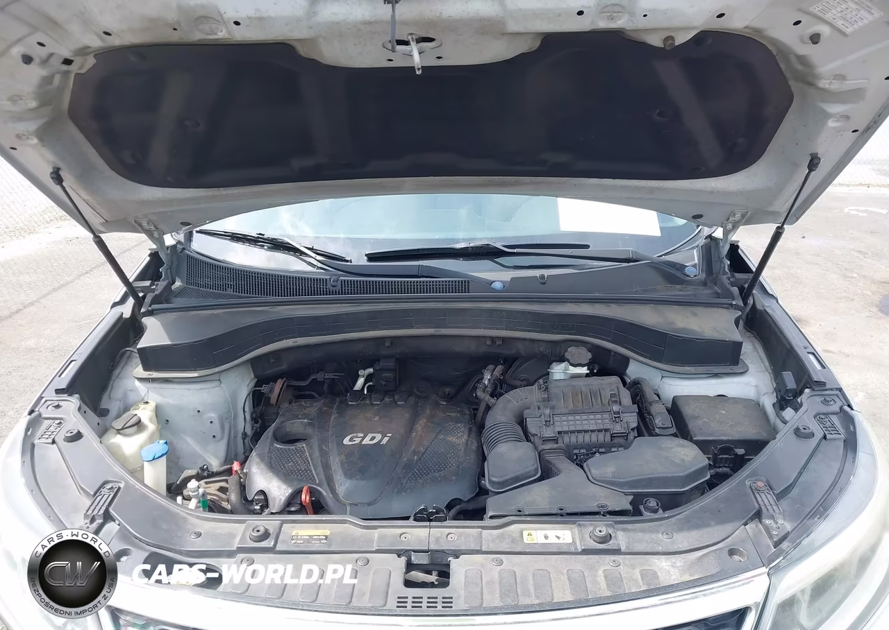 2014 Kia Sorento Lx VIN:5XYKT4A67EG425789 - 10