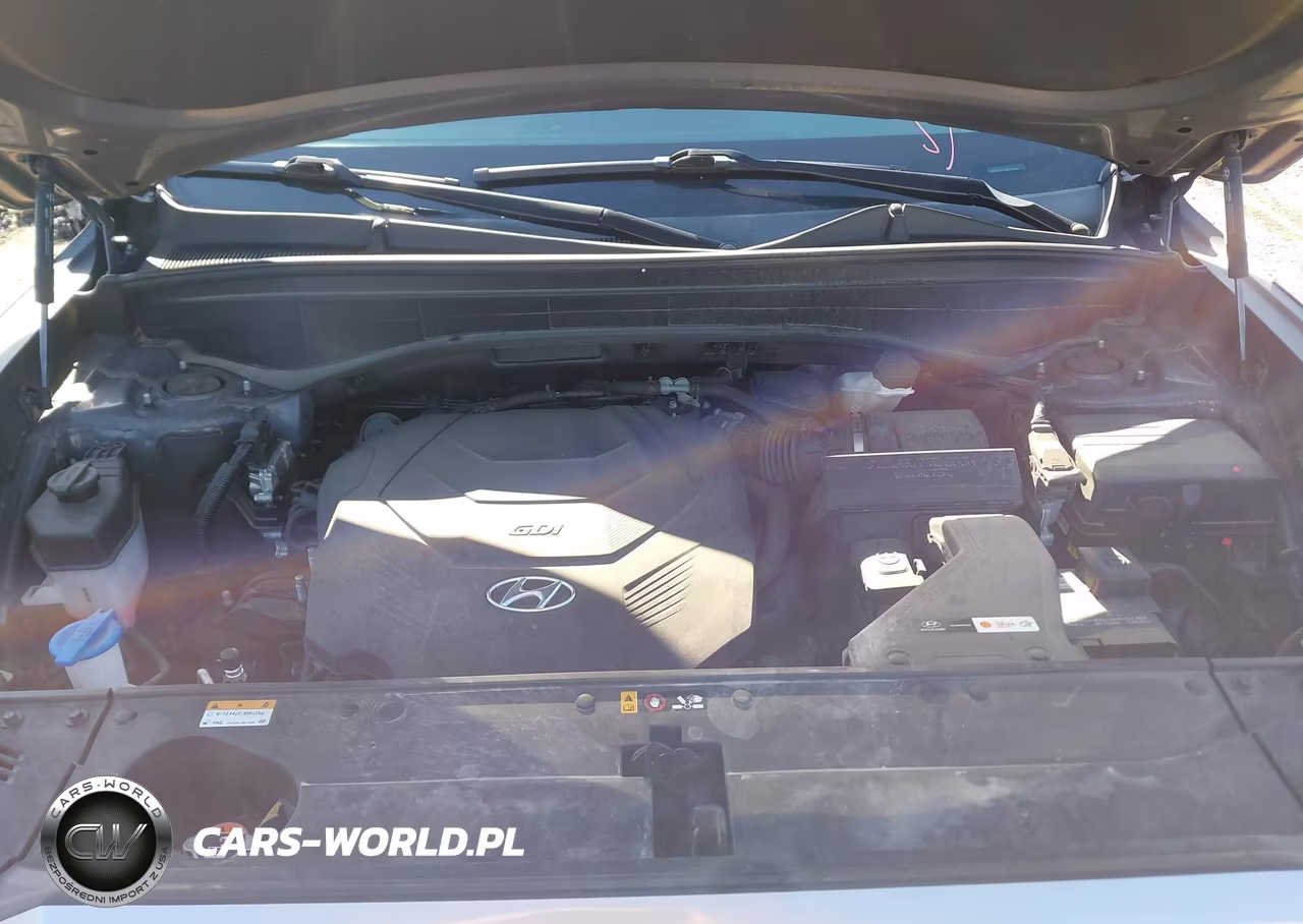 2021 Hyundai Palisade Sel VIN:KM8R3DHE9MU228496 - 10