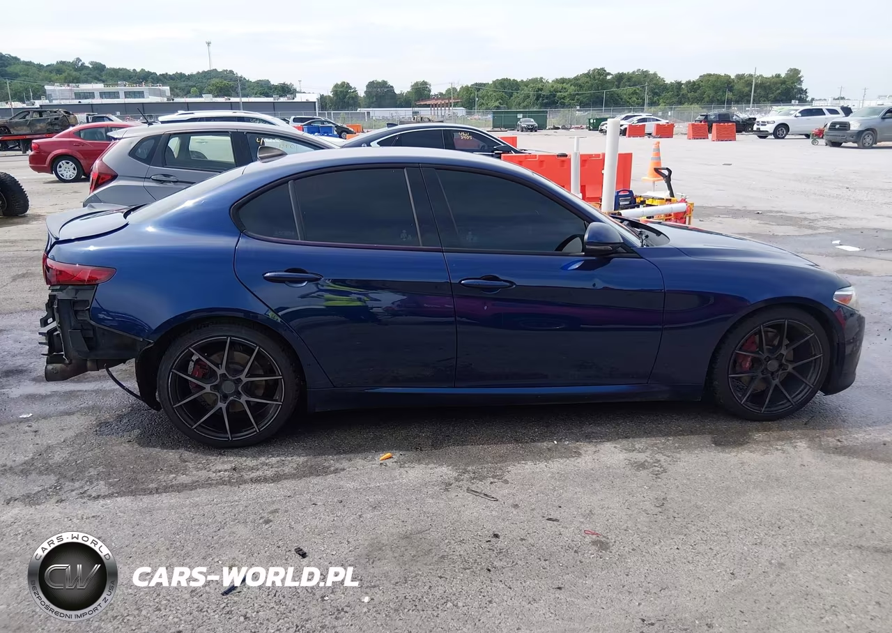 2017 Alfa Romeo Giulia Rwd VIN:ZARFAEBN0H7555889 - 13