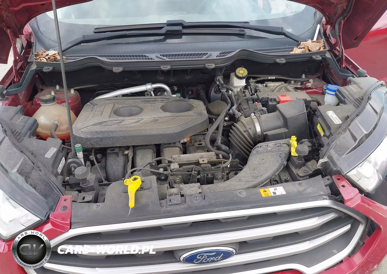 2020 Ford Ecosport Se VIN:MAJ6S3GLXLC346927 - 10