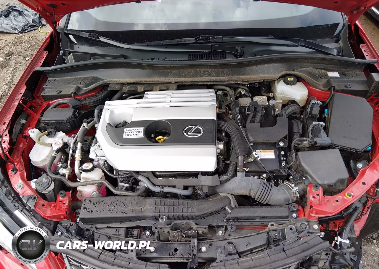 2021 Lexus Ux 250H F Sport VIN:JTHR9JBH9M2041872 - 10