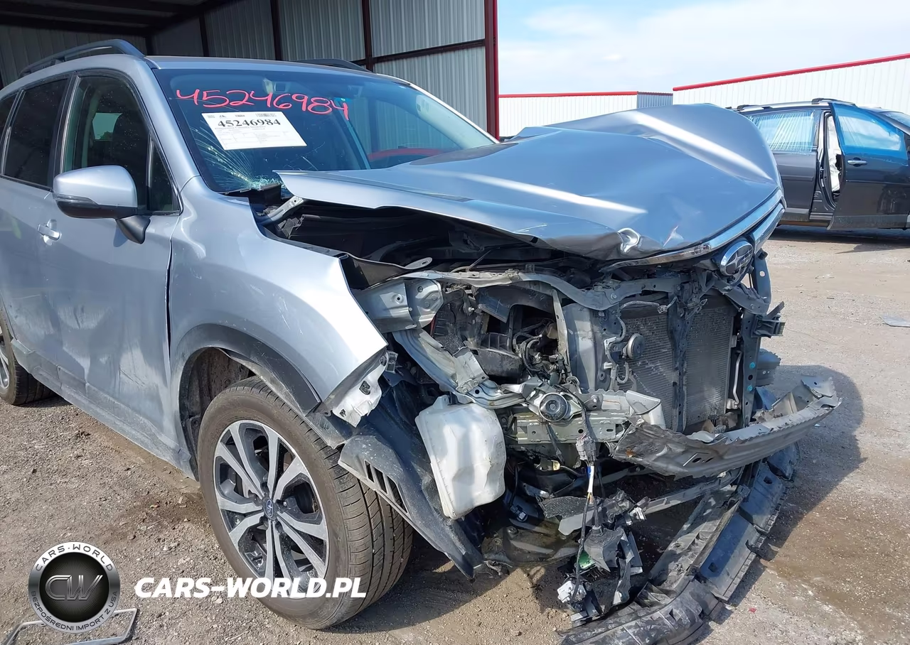 2019 Subaru Forester Limited VIN:JF2SKAUC3KH405868 - 6