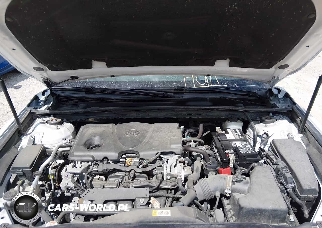 2019 Toyota Camry Xse VIN:4T1B61HK5KU173989 - 10