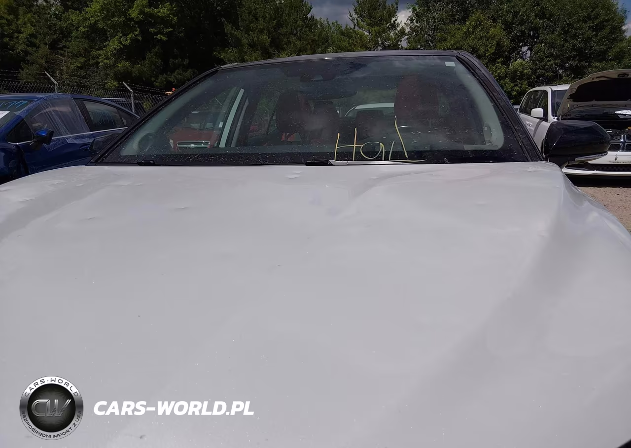 2019 Toyota Camry Xse VIN:4T1B61HK5KU173989 - 6