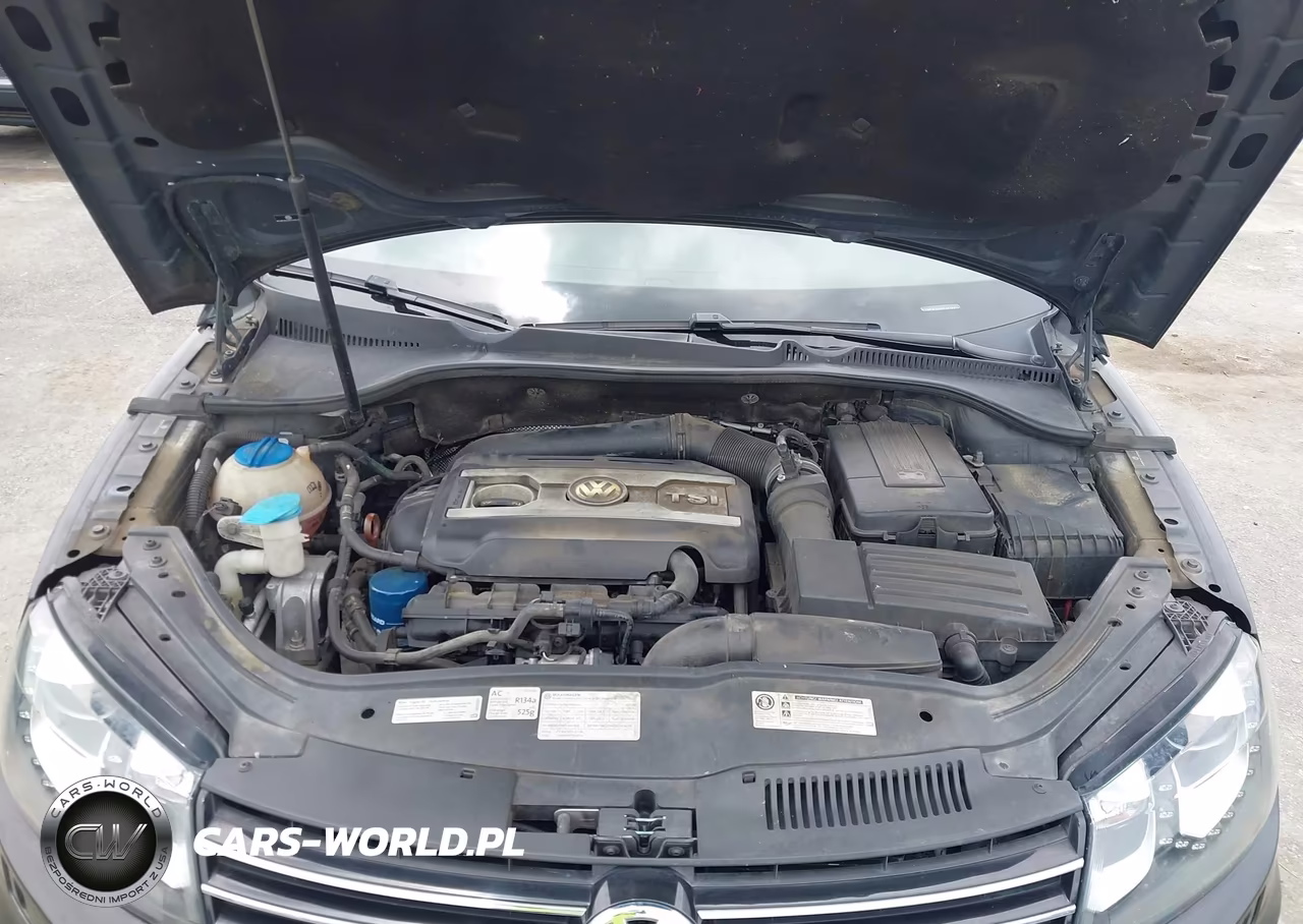 2012 Volkswagen Eos Executive VIN:WVWFW7AH1CV013319 - 10