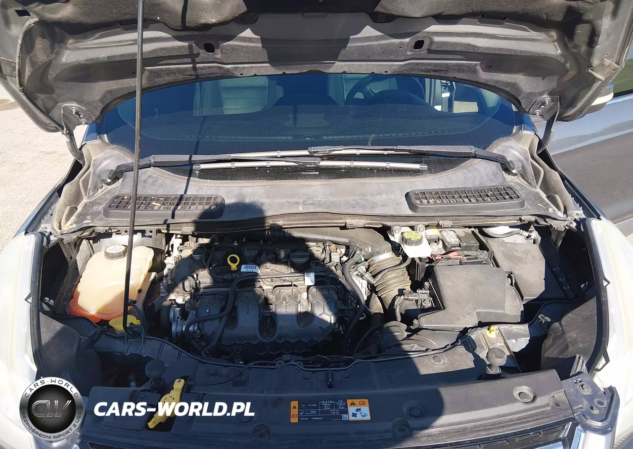 2013 Ford Escape Sel VIN:1FMCU9H94DUC55477 - 10