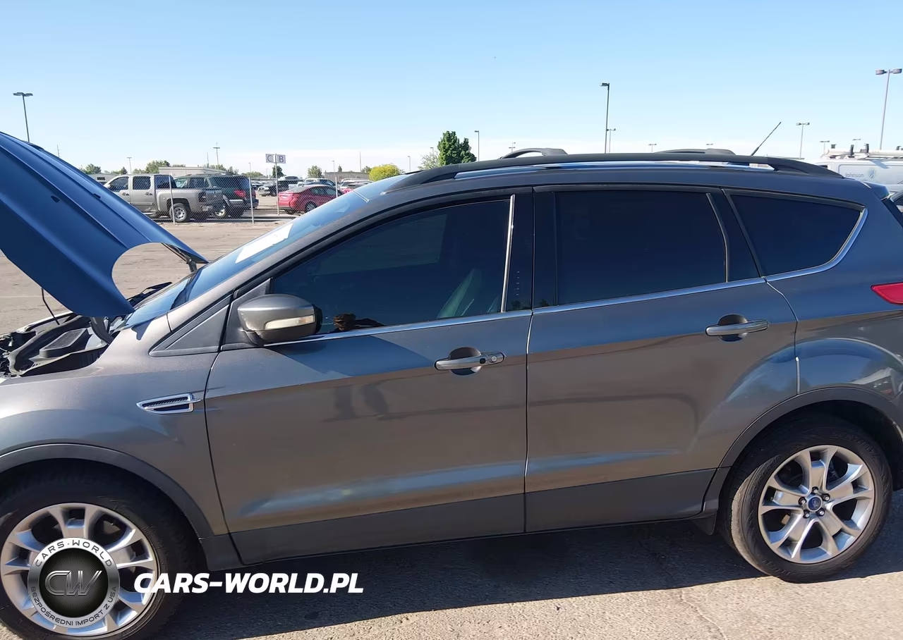 2013 Ford Escape Sel VIN:1FMCU9H94DUC55477 - 6
