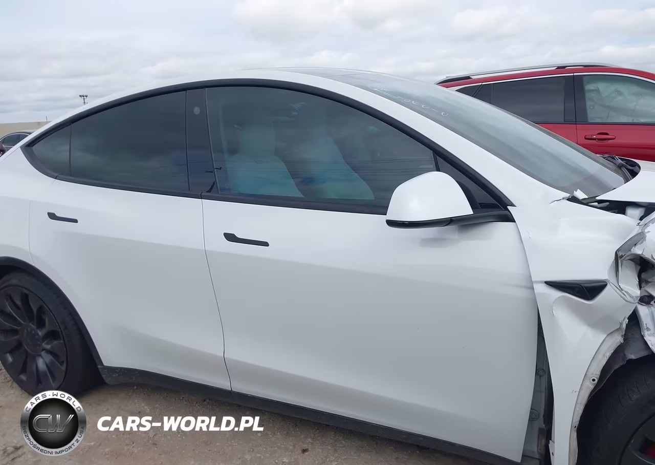 2023 Tesla Model Y Performance Dual Motor All-Wheel Drive VIN:7SAYGDEF3PF695026 - 12