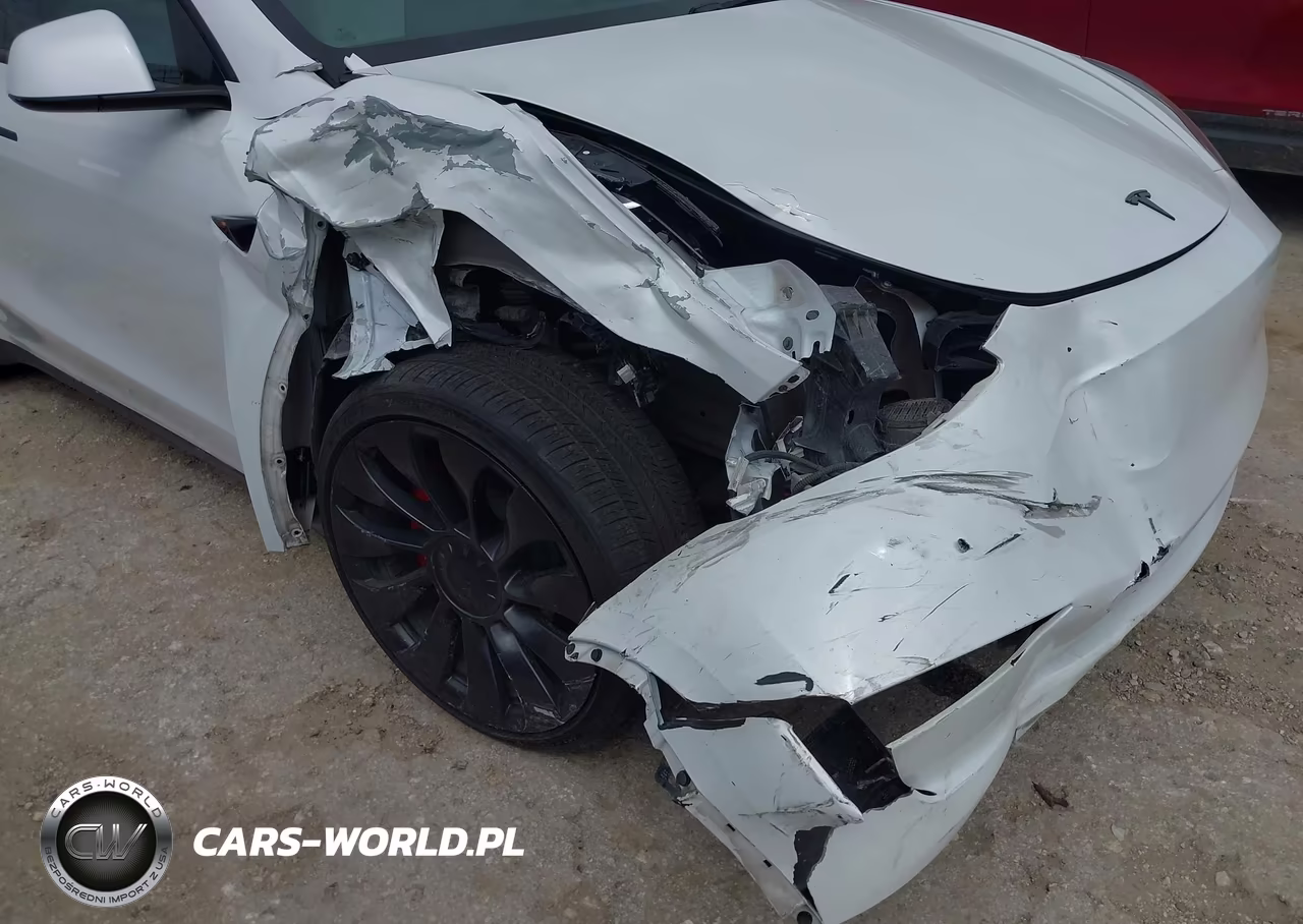 2023 Tesla Model Y Performance Dual Motor All-Wheel Drive VIN:7SAYGDEF3PF695026 - 6