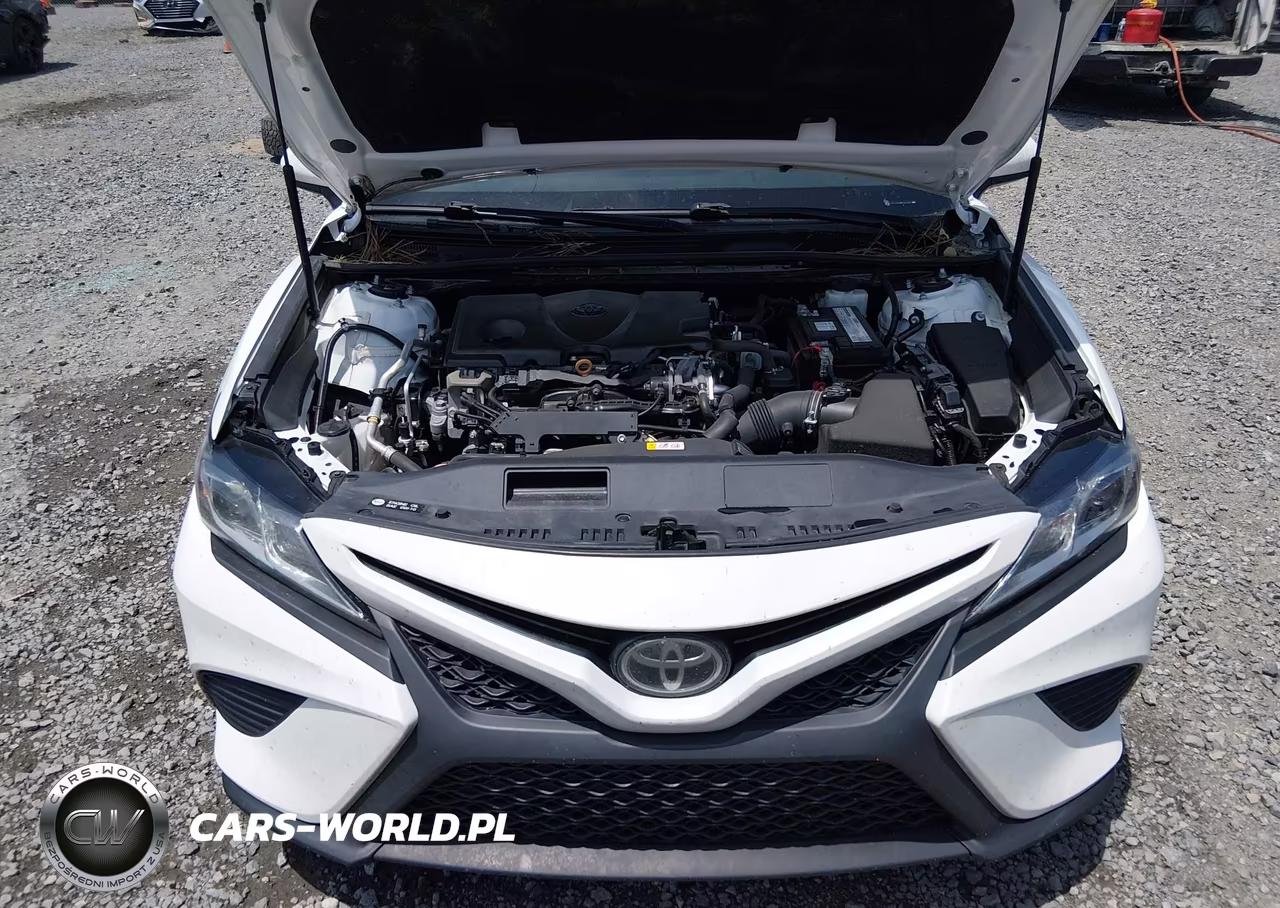 2019 Toyota Camry Se VIN:4T1B11HK4KU194220 - 10