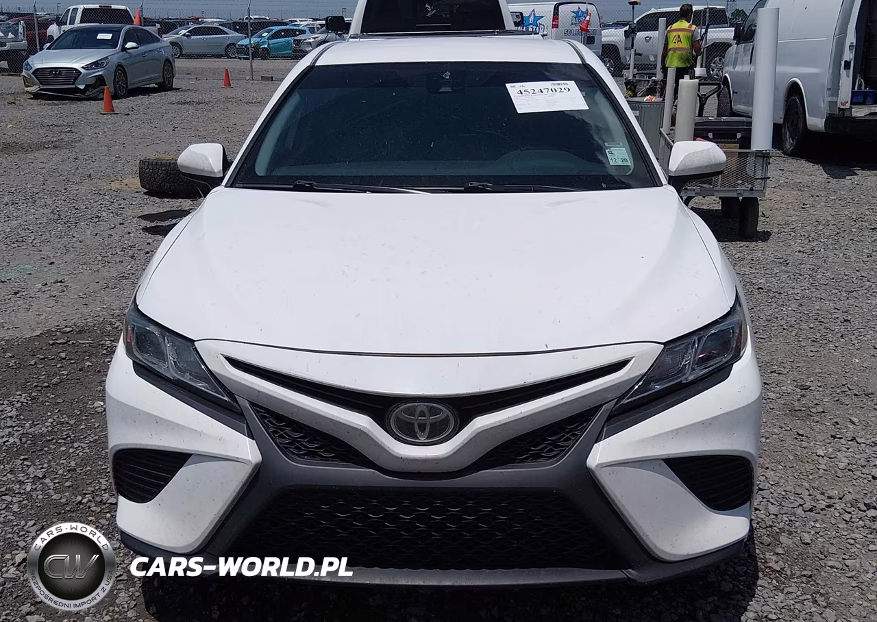 2019 Toyota Camry Se VIN:4T1B11HK4KU194220 - 12