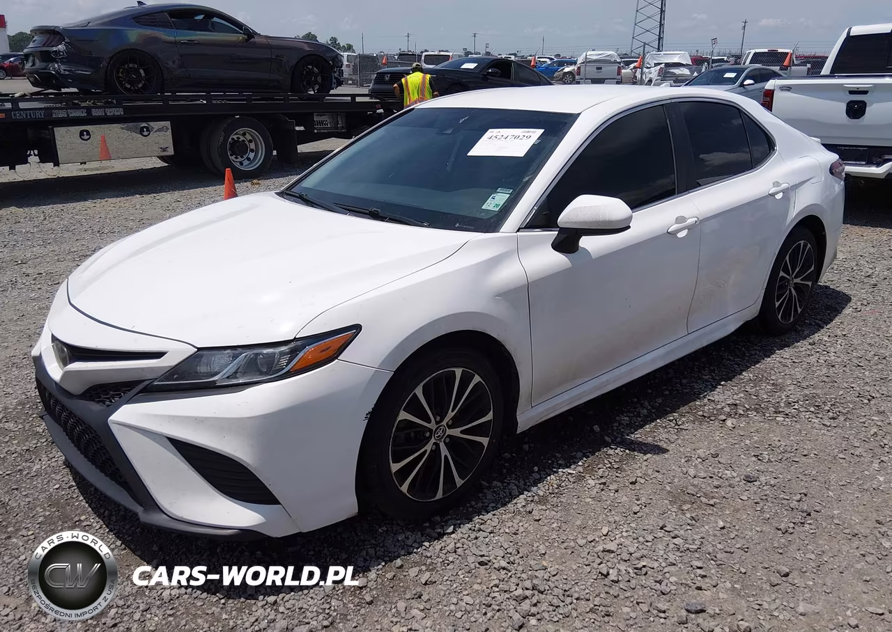 2019 Toyota Camry Se VIN:4T1B11HK4KU194220 - 2