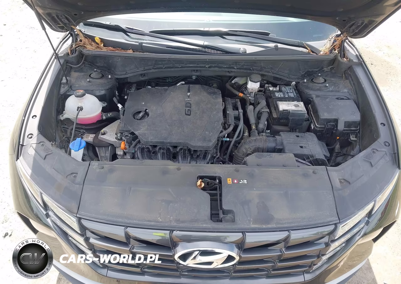 2024 Hyundai Tucson Sel VIN:5NMJBCDE2RH419132 - 10