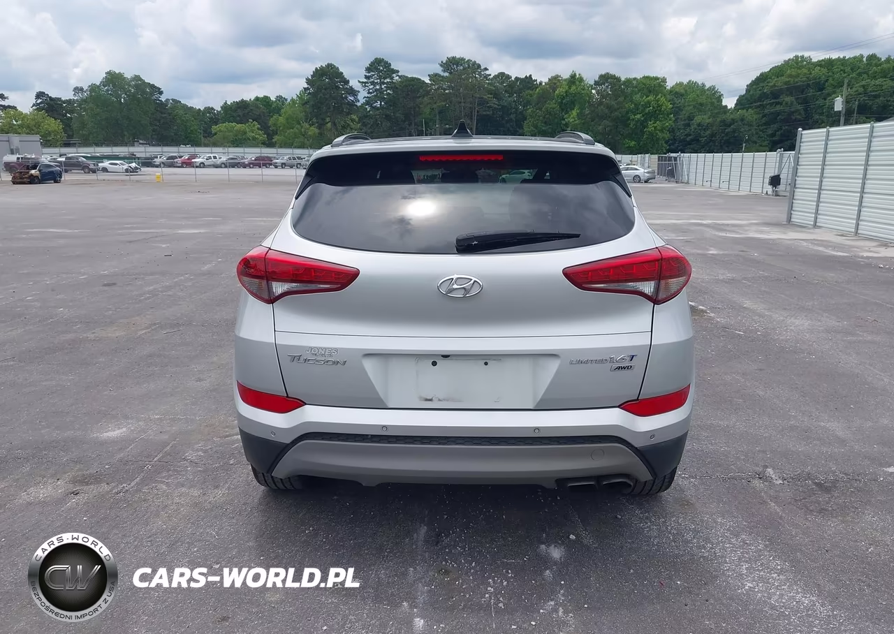 2018 Hyundai Tucson Value VIN:KM8J3CA25JU810694 - 16