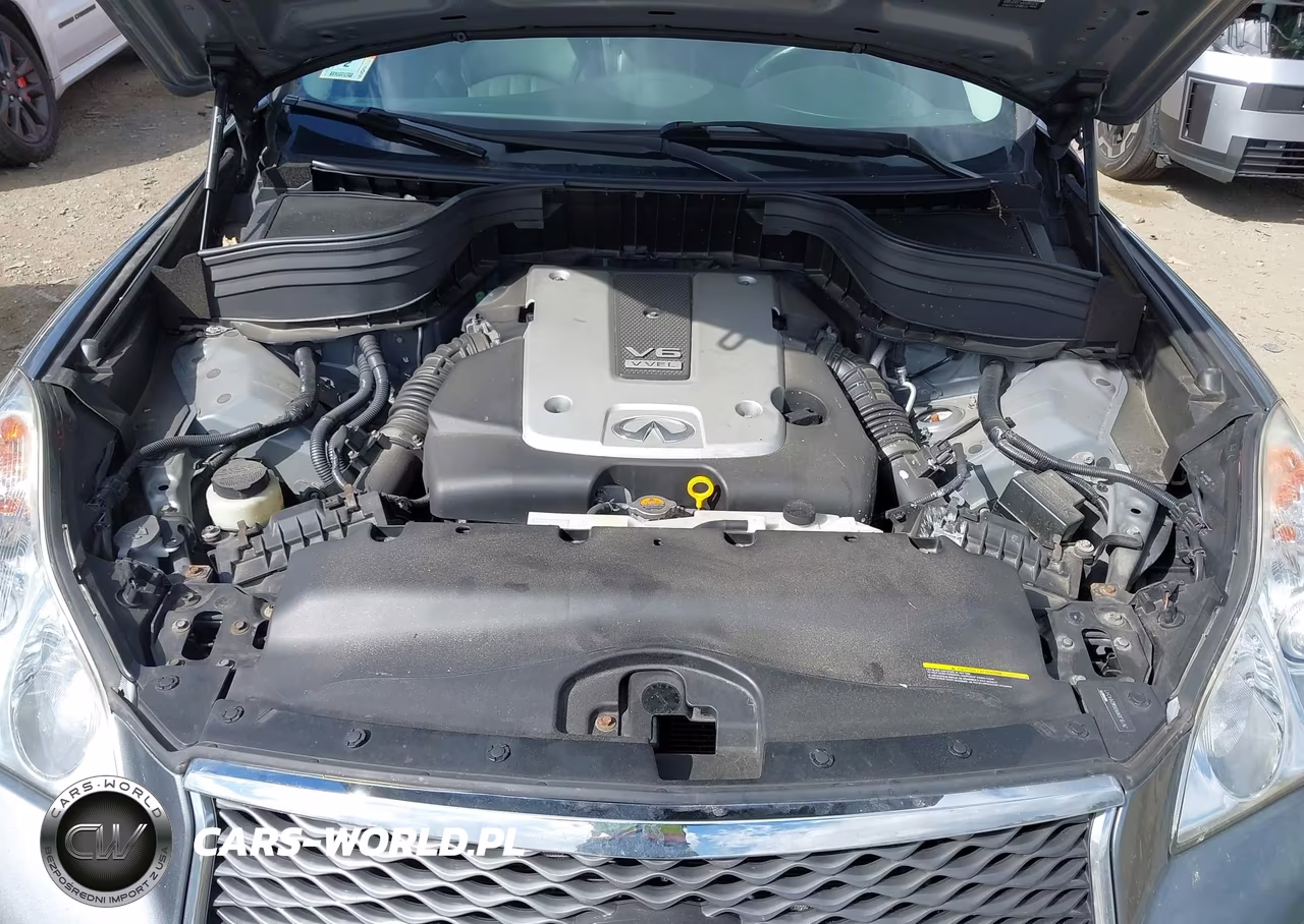 2016 Infiniti Qx50 VIN:JN1BJ0RR0GM264347 - 10