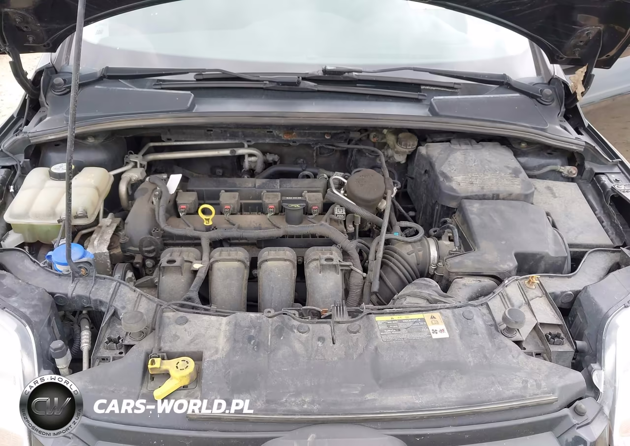 2013 Ford Focus Se VIN:1FADP3F22DL324410 - 10