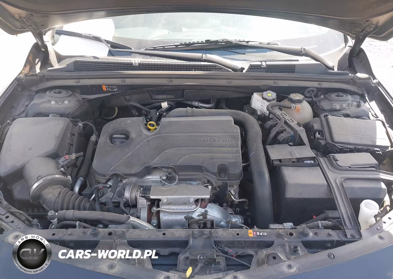 2023 Chevrolet Malibu Fwd 1Lt VIN:1G1ZD5ST2PF197317 - 10