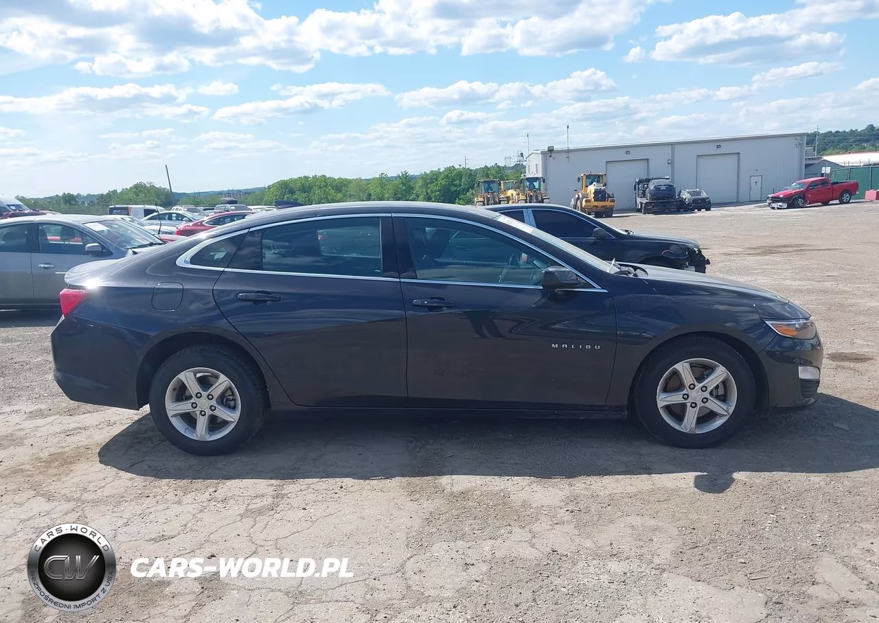 2023 Chevrolet Malibu Fwd 1Lt VIN:1G1ZD5ST2PF197317 - 13