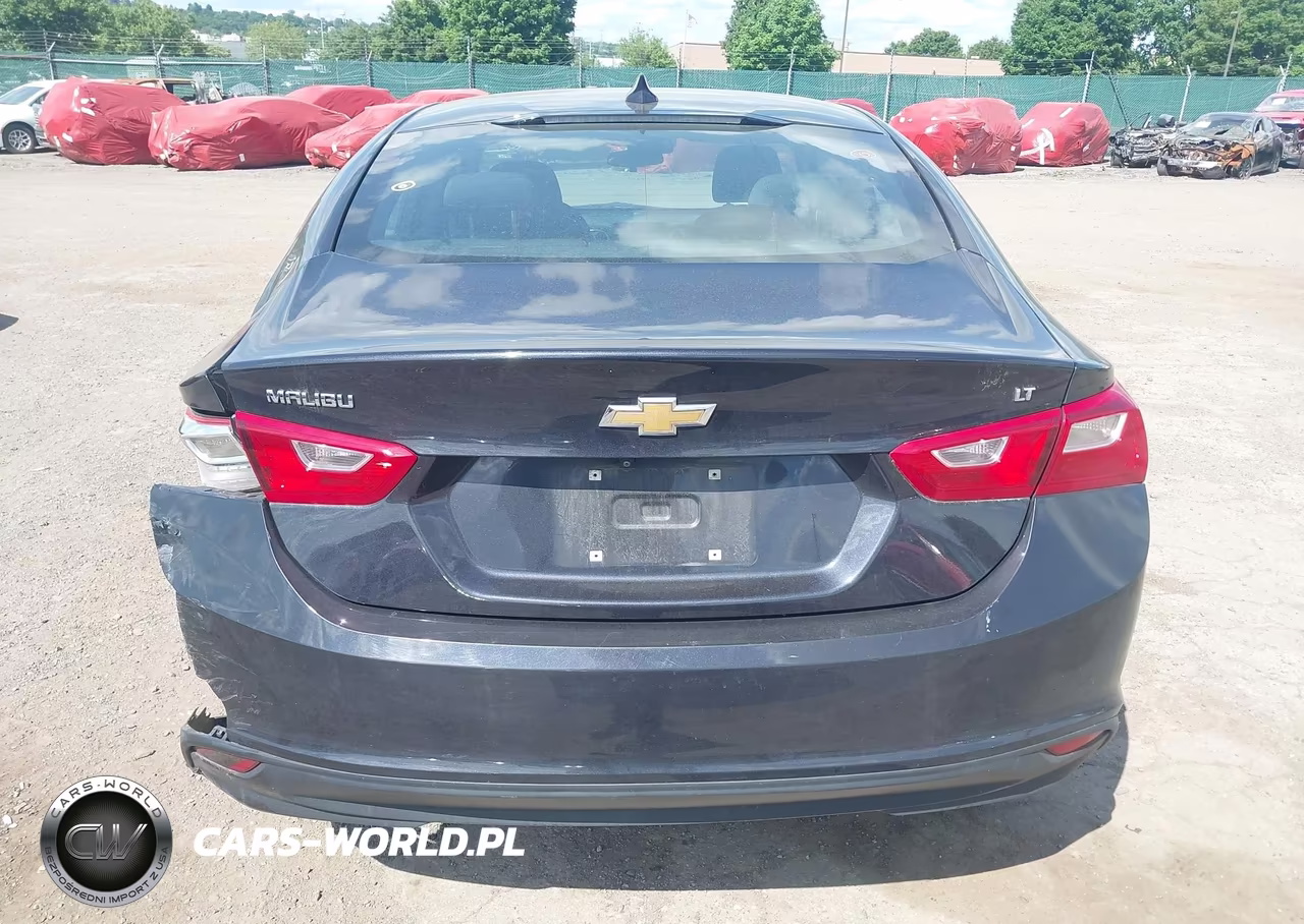 2023 Chevrolet Malibu Fwd 1Lt VIN:1G1ZD5ST2PF197317 - 16