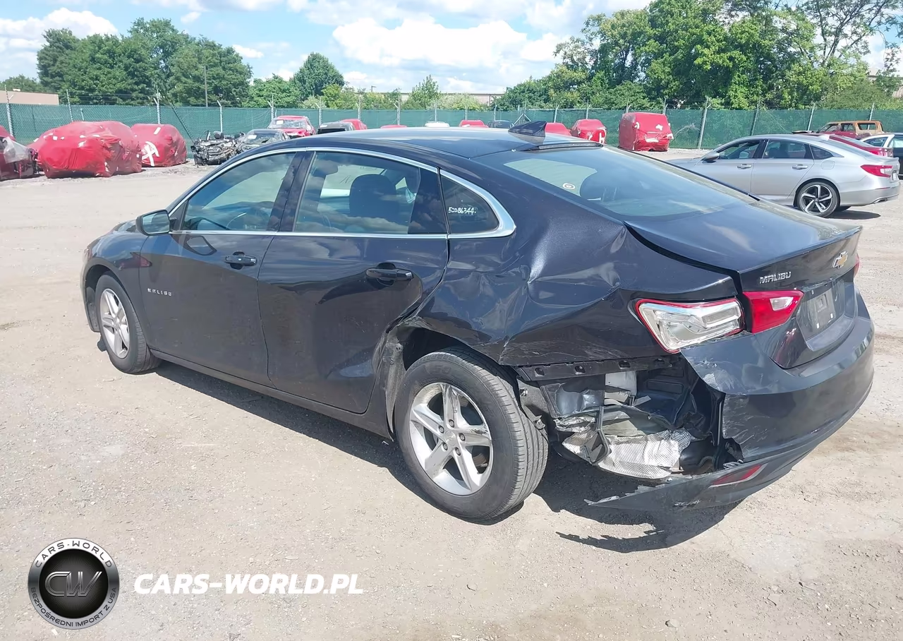 2023 Chevrolet Malibu Fwd 1Lt VIN:1G1ZD5ST2PF197317 - 3