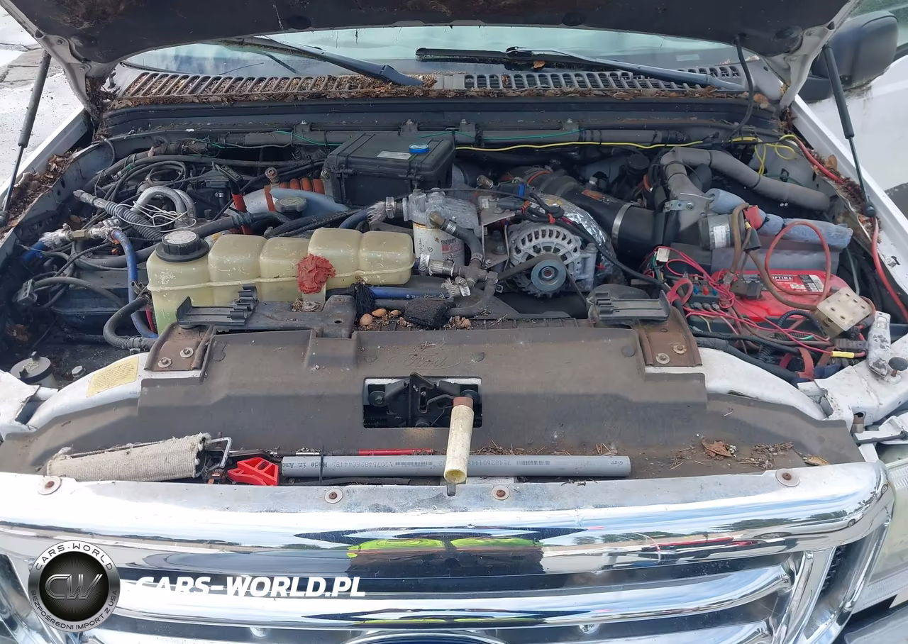 1999 Ford F-250 Lariat-Xl-Xlt VIN:1FTNW21F3XEA28262 - 10
