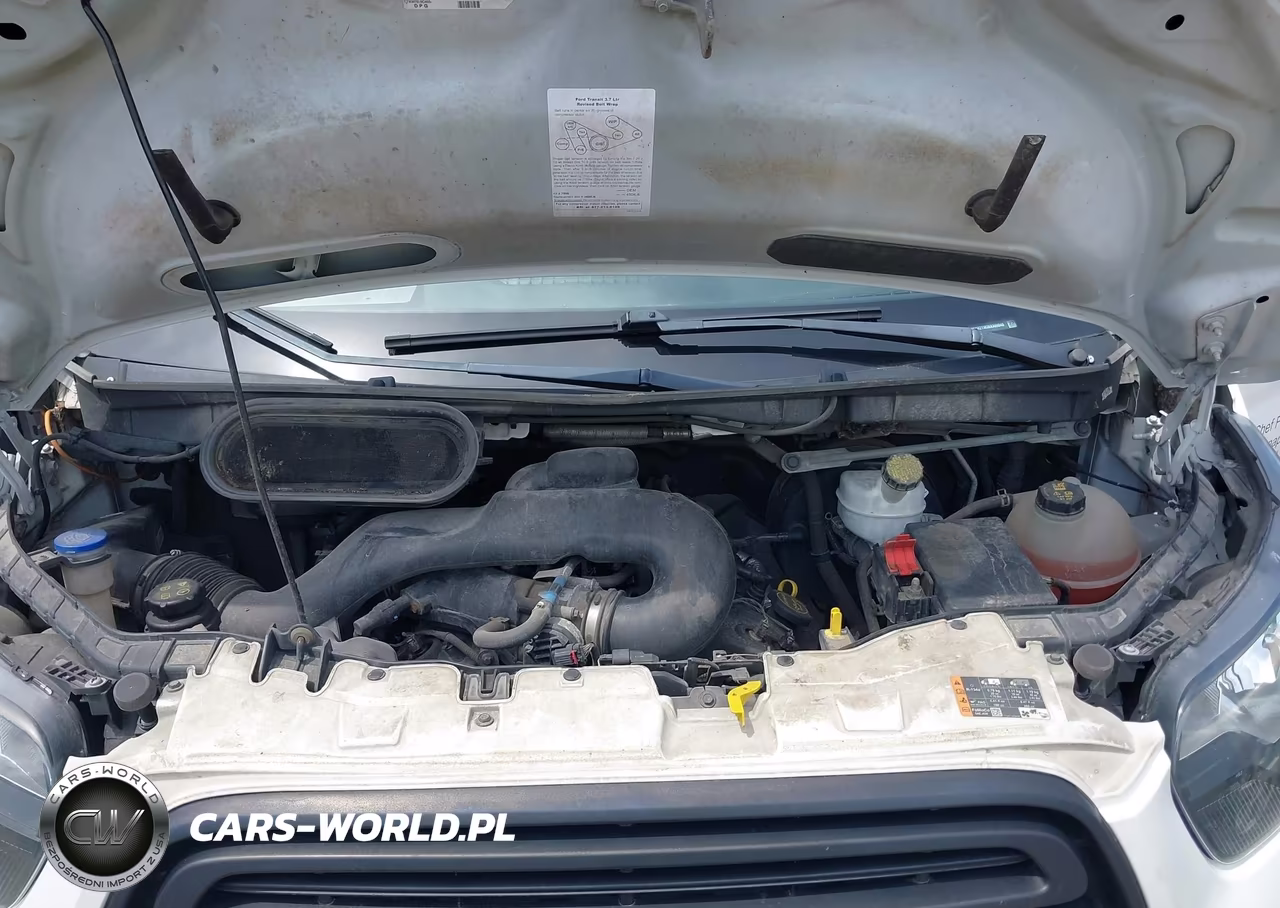 2019 Ford Transit-250 VIN:1FTYR2YM3KKA69848 - 10