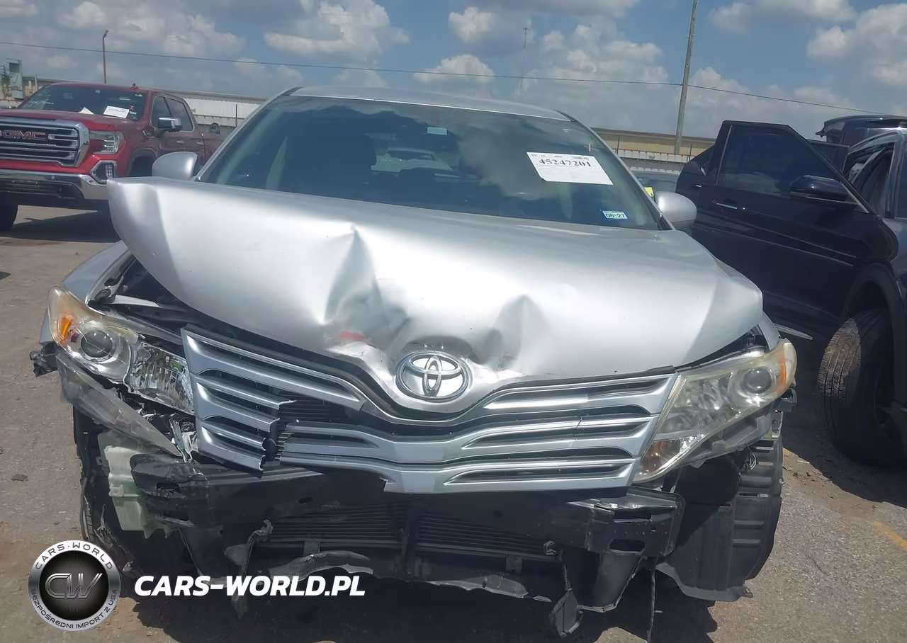 2010 Toyota Venza VIN:4T3ZA3BB4AU025419 - 12
