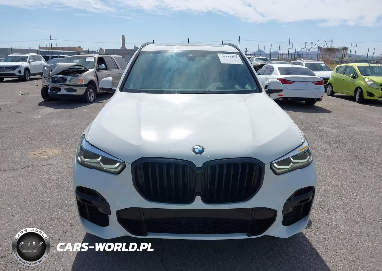 2023 BMW X5 xDrive40I VIN:5UXCR6C03P9R37463 - 13