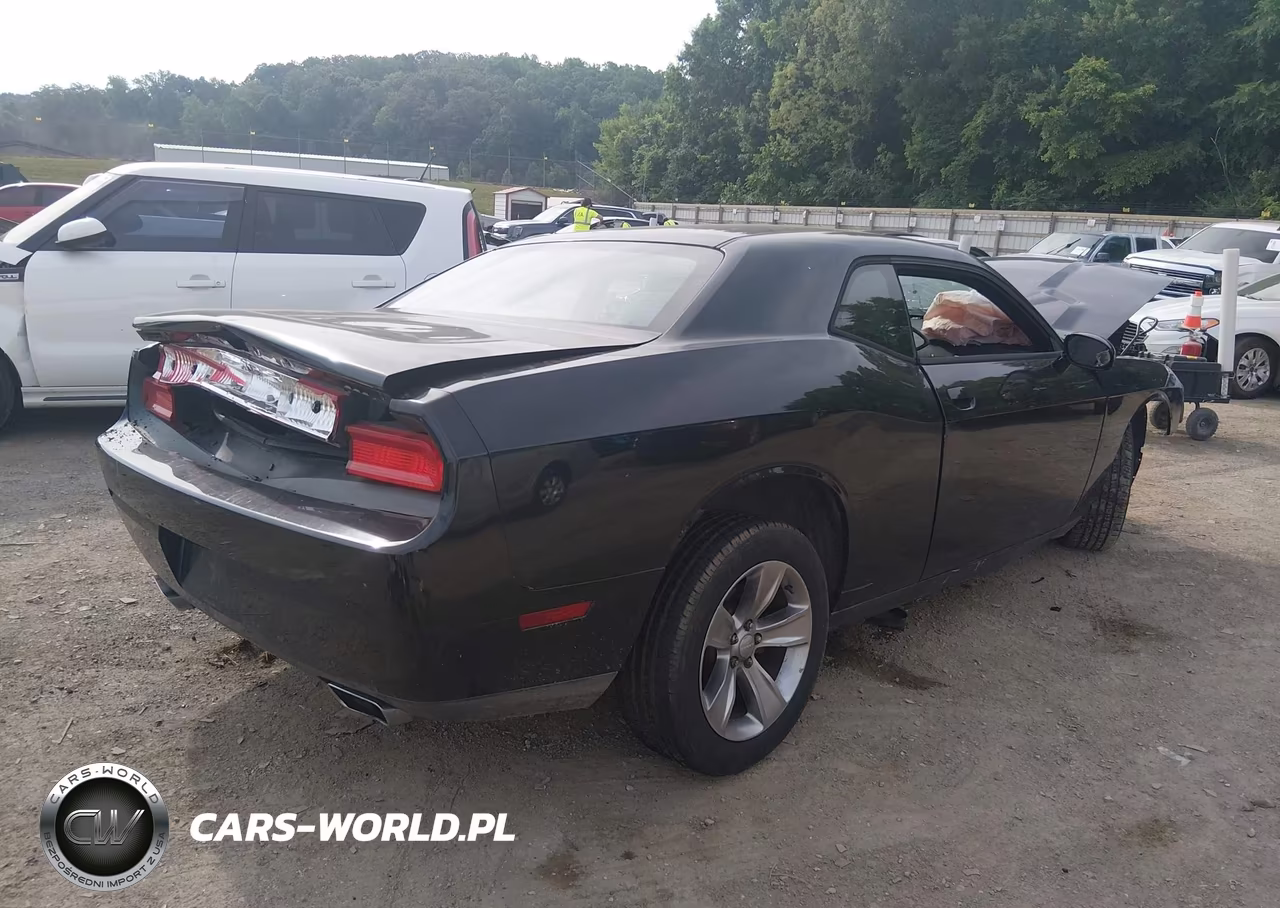 2014 Dodge Challenger Sxt VIN:2C3CDYAG4EH289709 - 4