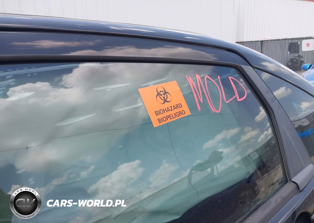2010 Ford Focus Se VIN:1FAHP3FN7AW149688 - 6