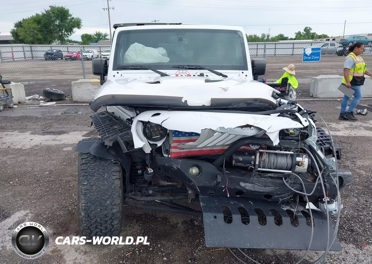 2017 Jeep Wrangler Unlimited Winter 4X4 VIN:1C4BJWEG6HL630498 - 11