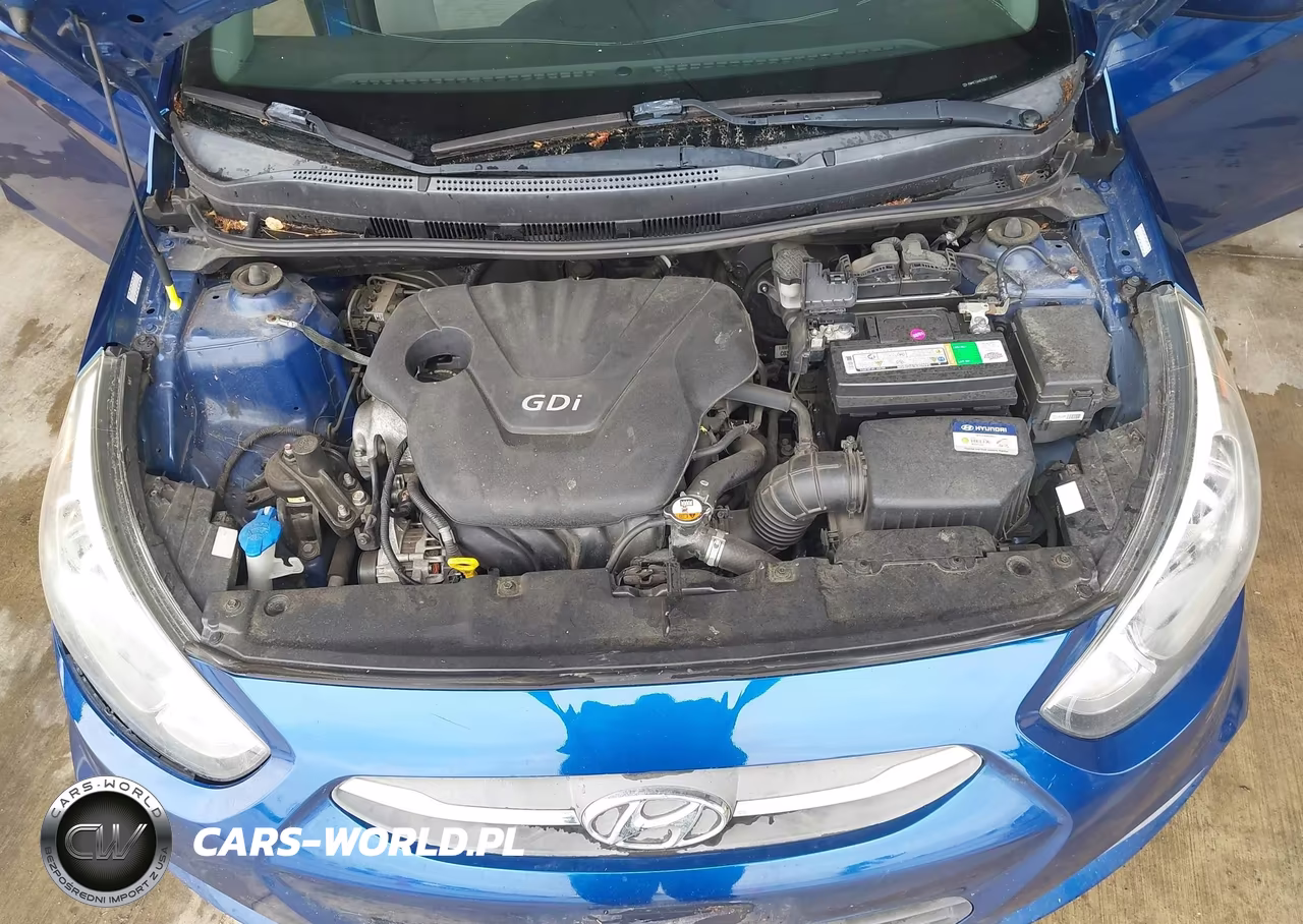 2016 Hyundai Accent Se VIN:KMHCT4AE5GU118016 - 10