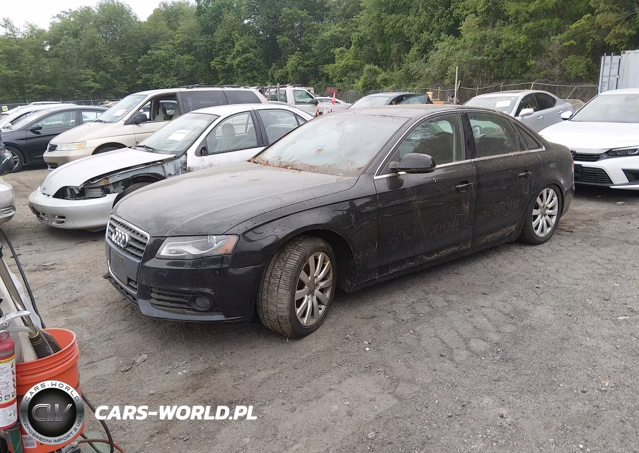2010 Audi A4 2.0T Premium VIN:WAUFFAFL1AN023143 - 2
