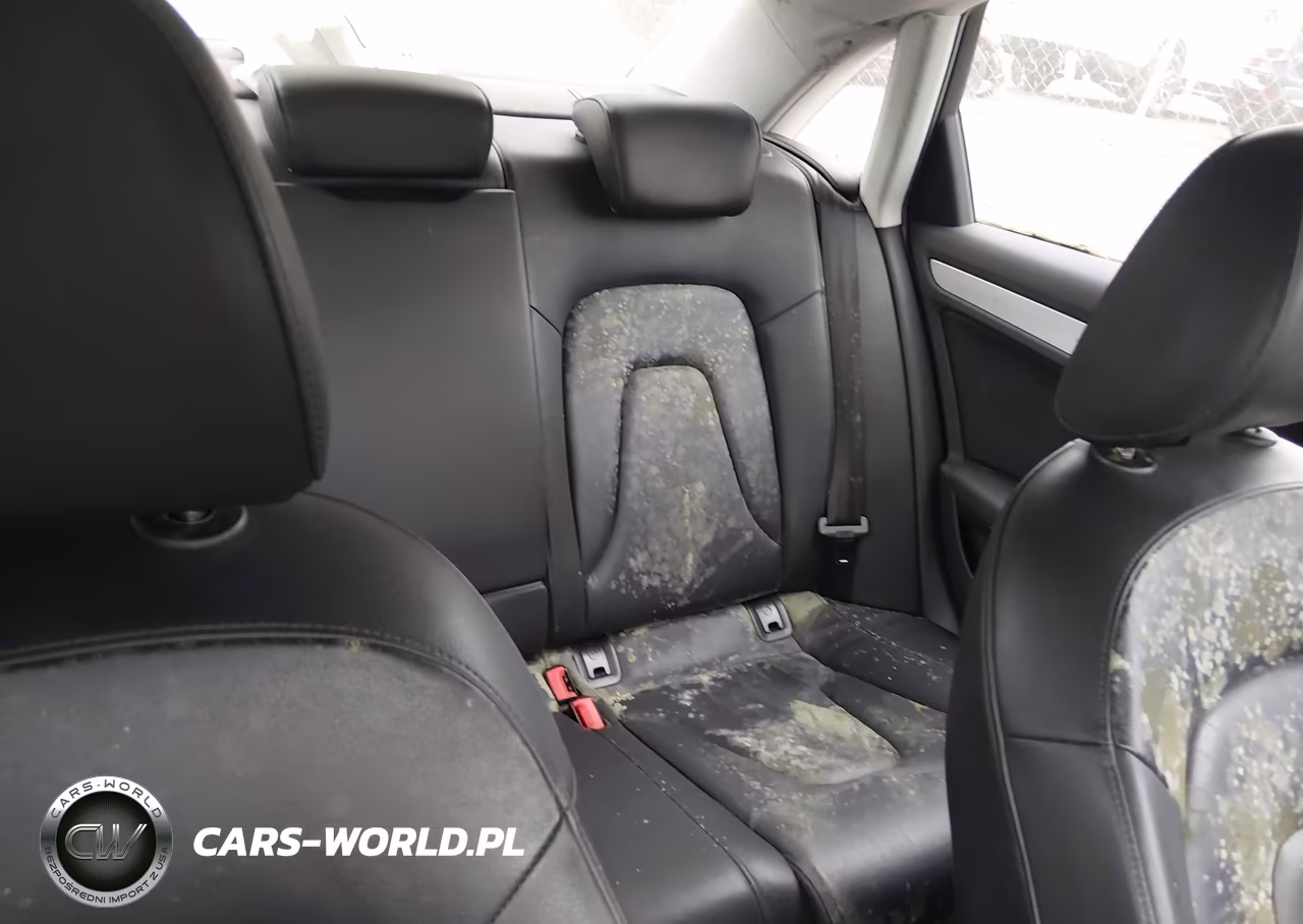 2010 Audi A4 2.0T Premium VIN:WAUFFAFL1AN023143 - 8