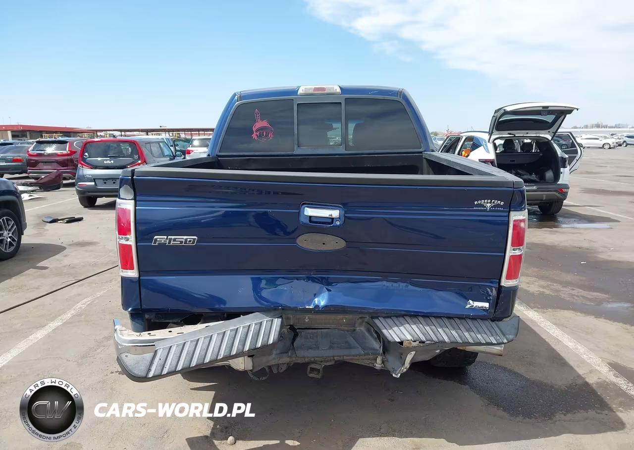 2010 Ford F-150 Fx2 Sport-Harley-Davidson-King Ranch-Lariat-Platinum-Xl-Xlt VIN:1FTFW1CV5AFB41960 - 16