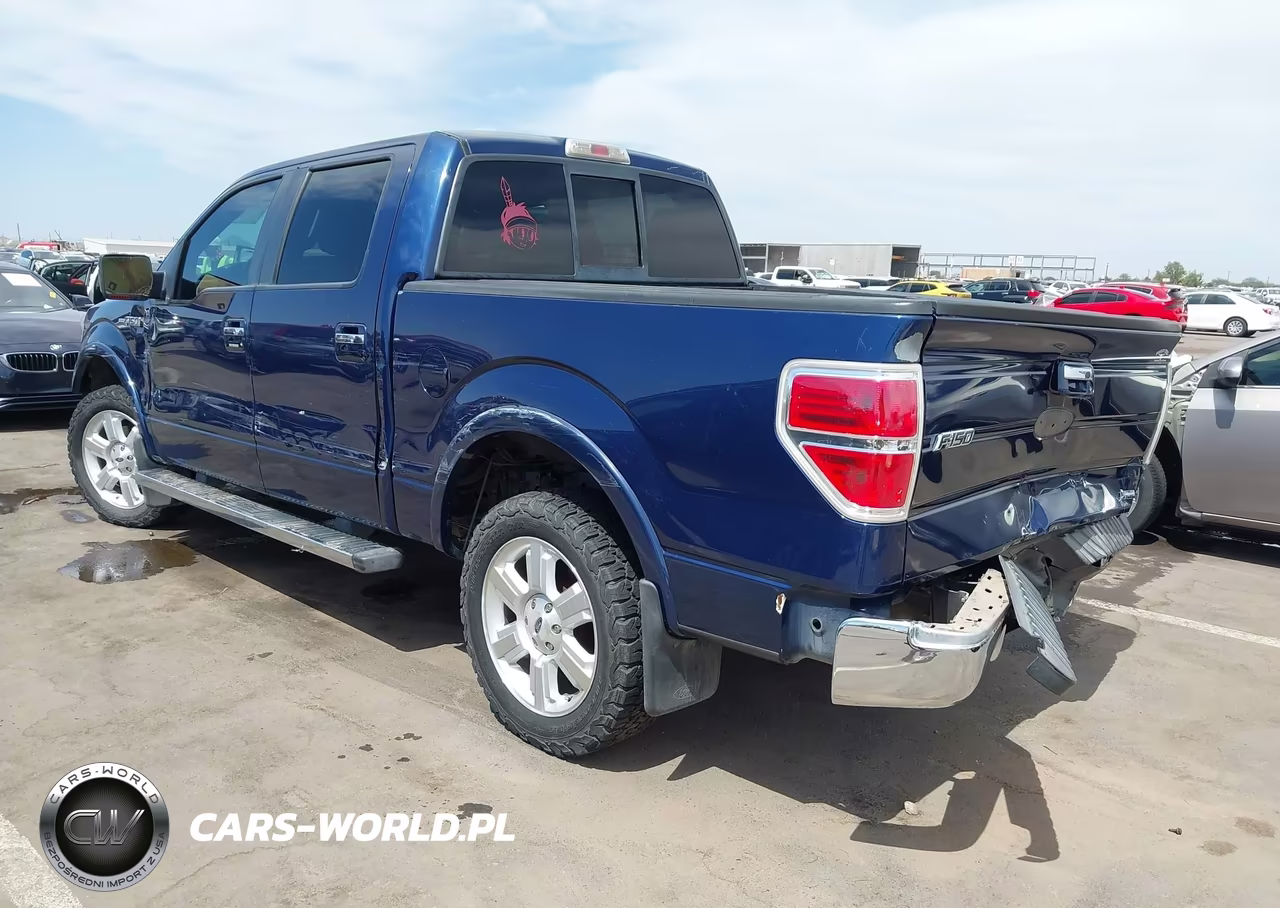 2010 Ford F-150 Fx2 Sport-Harley-Davidson-King Ranch-Lariat-Platinum-Xl-Xlt VIN:1FTFW1CV5AFB41960 - 3