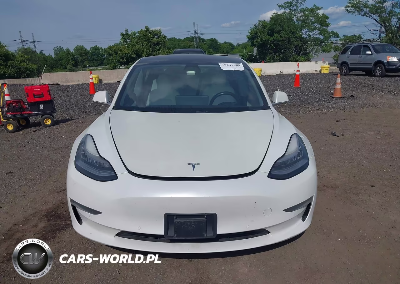 2020 Tesla Model 3 Performance Dual Motor All-Wheel Drive VIN:5YJ3E1EC2LF784243 - 12