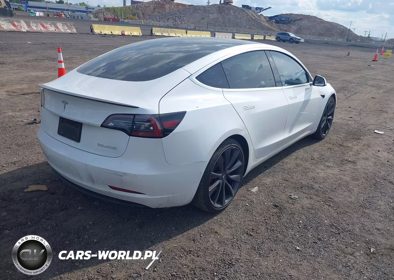 2020 Tesla Model 3 Performance Dual Motor All-Wheel Drive VIN:5YJ3E1EC2LF784243 - 4
