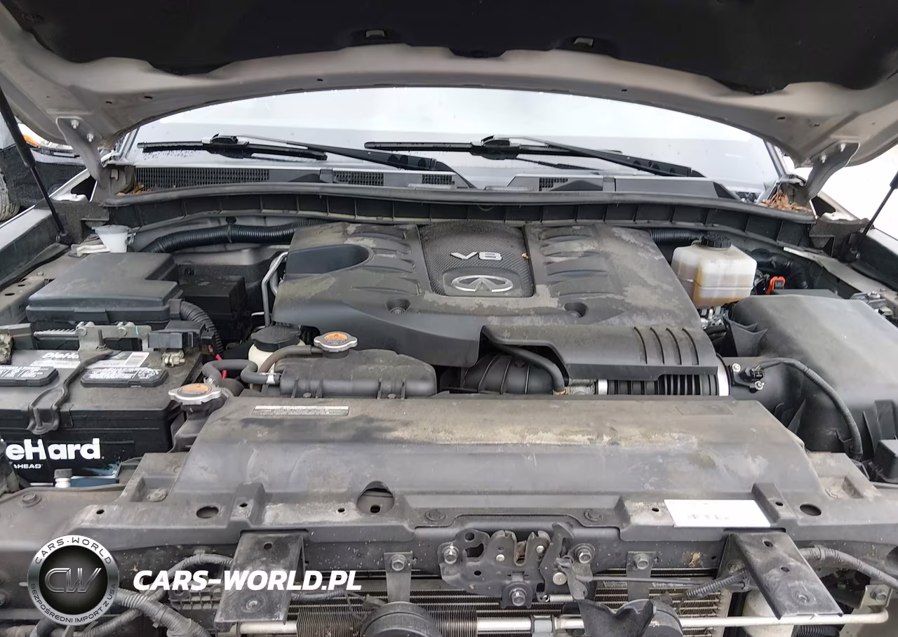 2019 Infiniti Qx80 Limited-Luxe VIN:JN8AZ2NE0K9230263 - 10