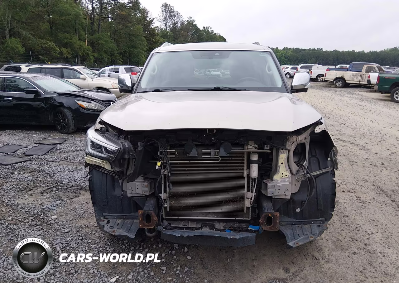 2019 Infiniti Qx80 Limited-Luxe VIN:JN8AZ2NE0K9230263 - 13
