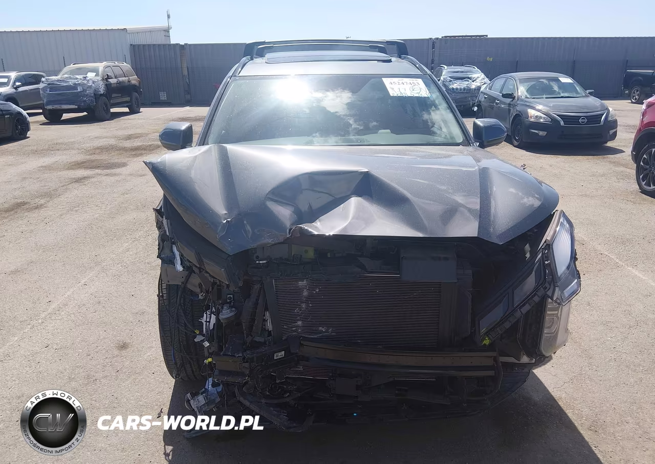 2025 Hyundai Palisade Xrt VIN:KM8R34GE1SU850203 - 13