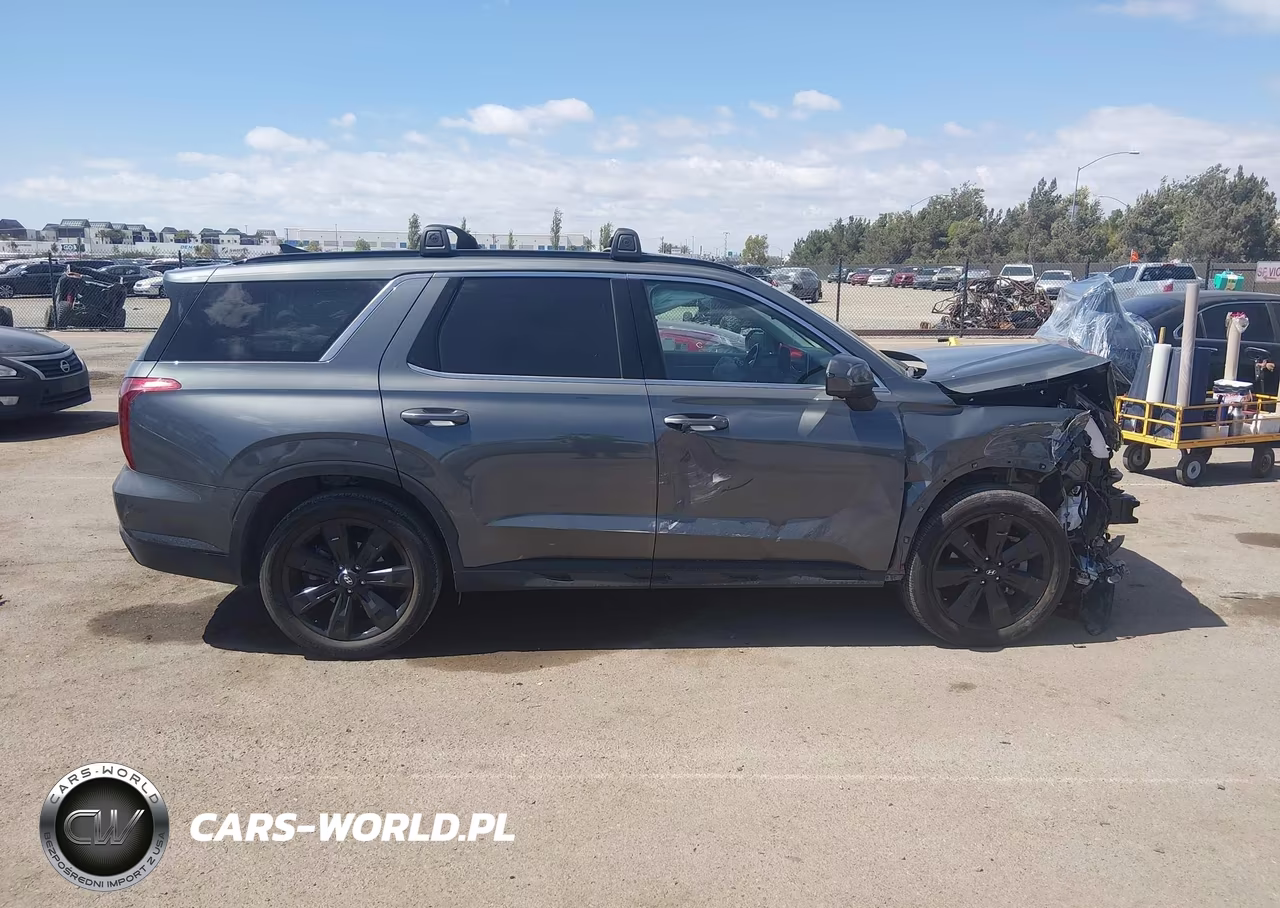 2025 Hyundai Palisade Xrt VIN:KM8R34GE1SU850203 - 14