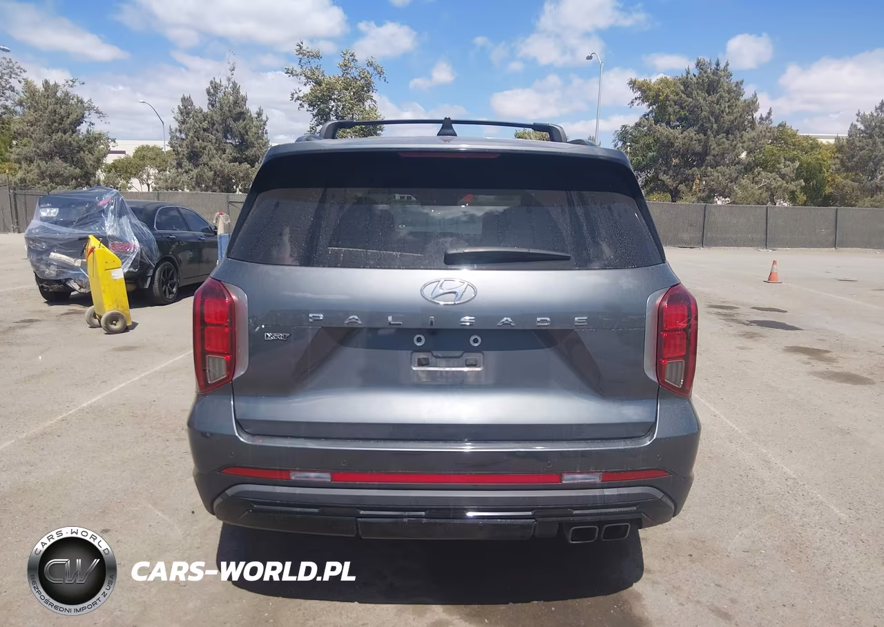 2025 Hyundai Palisade Xrt VIN:KM8R34GE1SU850203 - 17