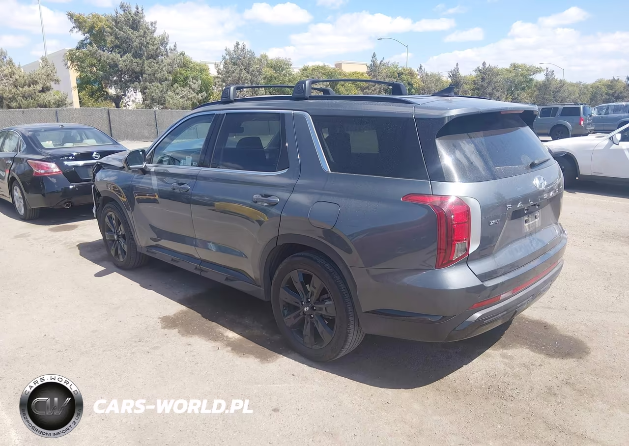 2025 Hyundai Palisade Xrt VIN:KM8R34GE1SU850203 - 3