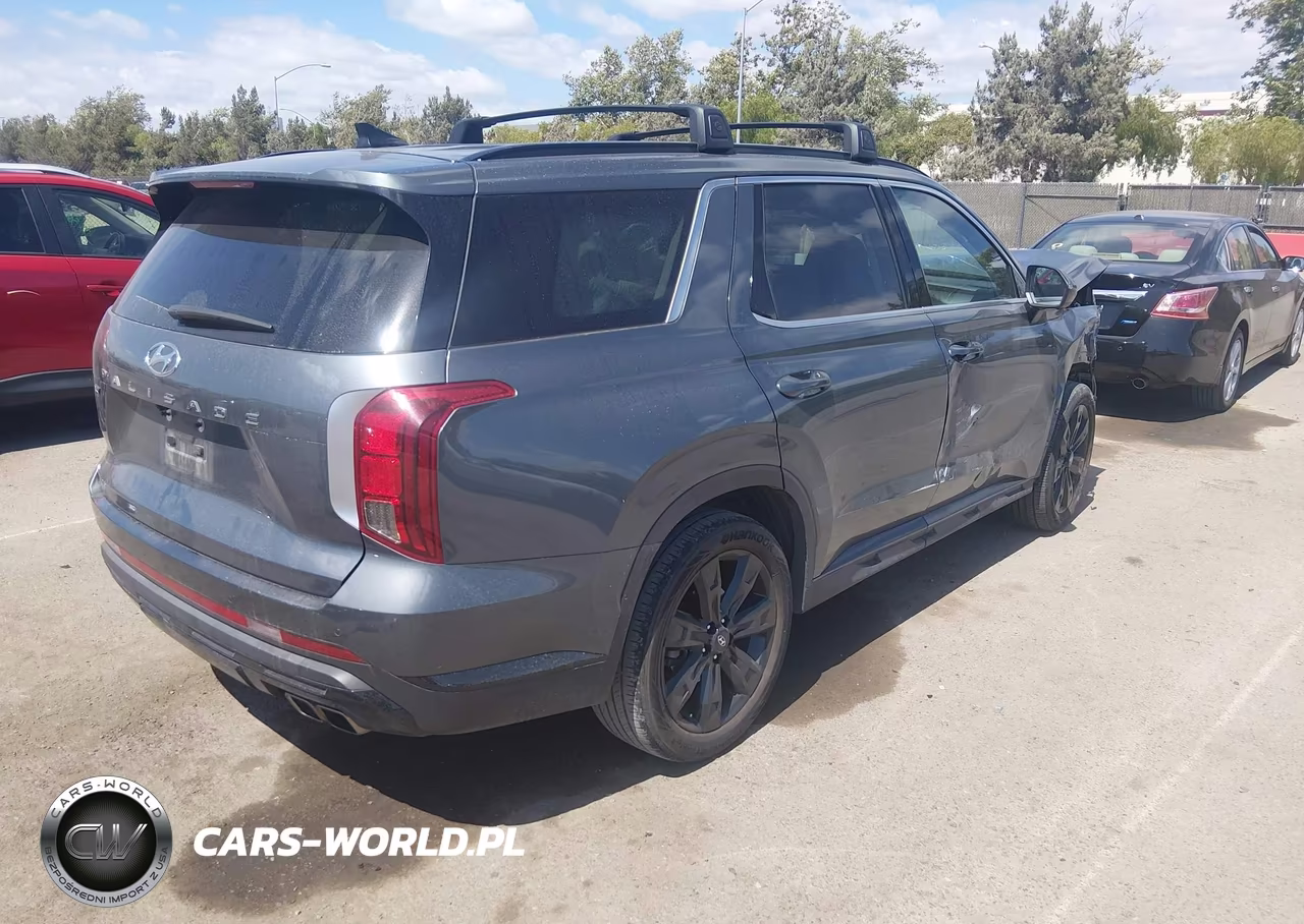 2025 Hyundai Palisade Xrt VIN:KM8R34GE1SU850203 - 4